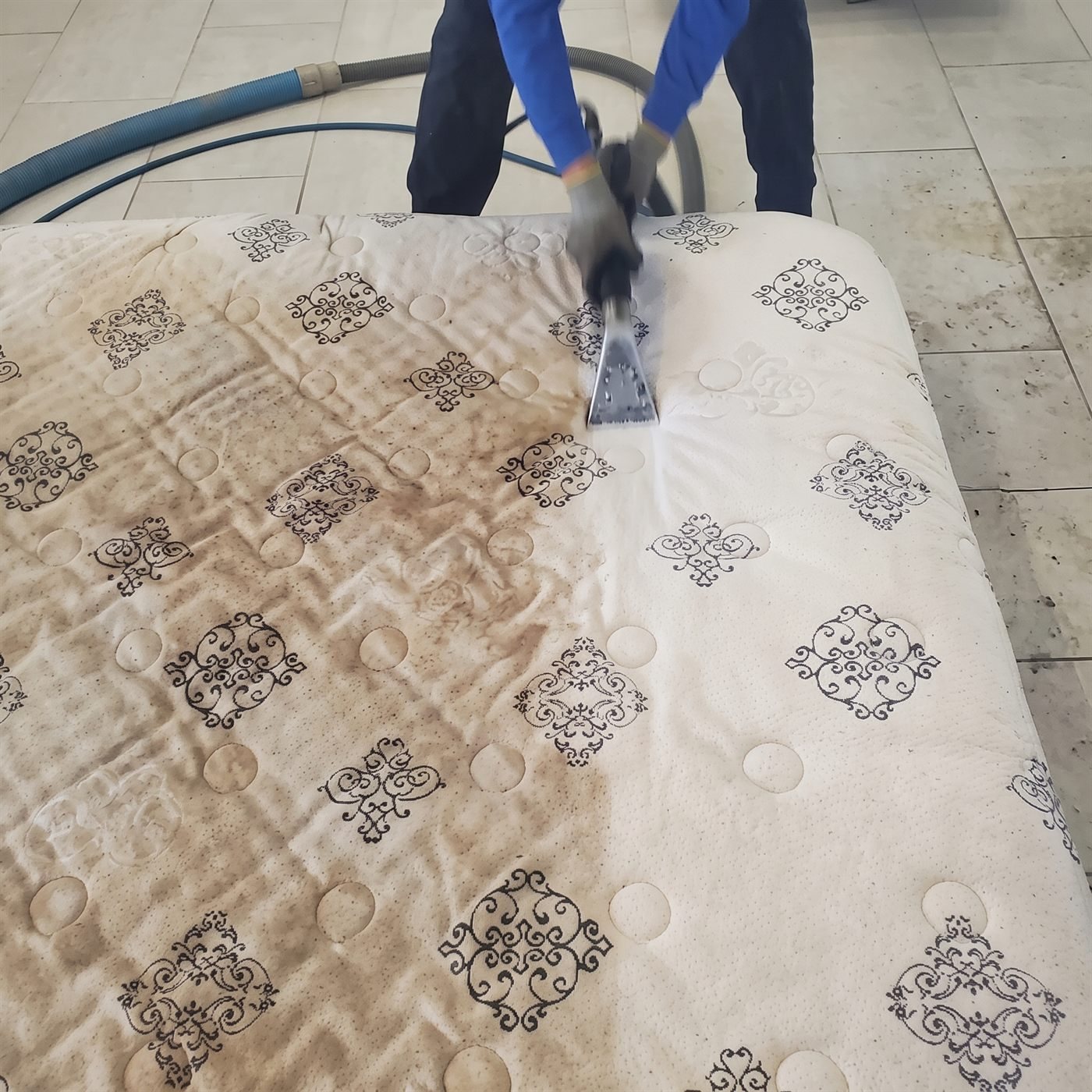 Hygienic mattress sanitization and stain removal