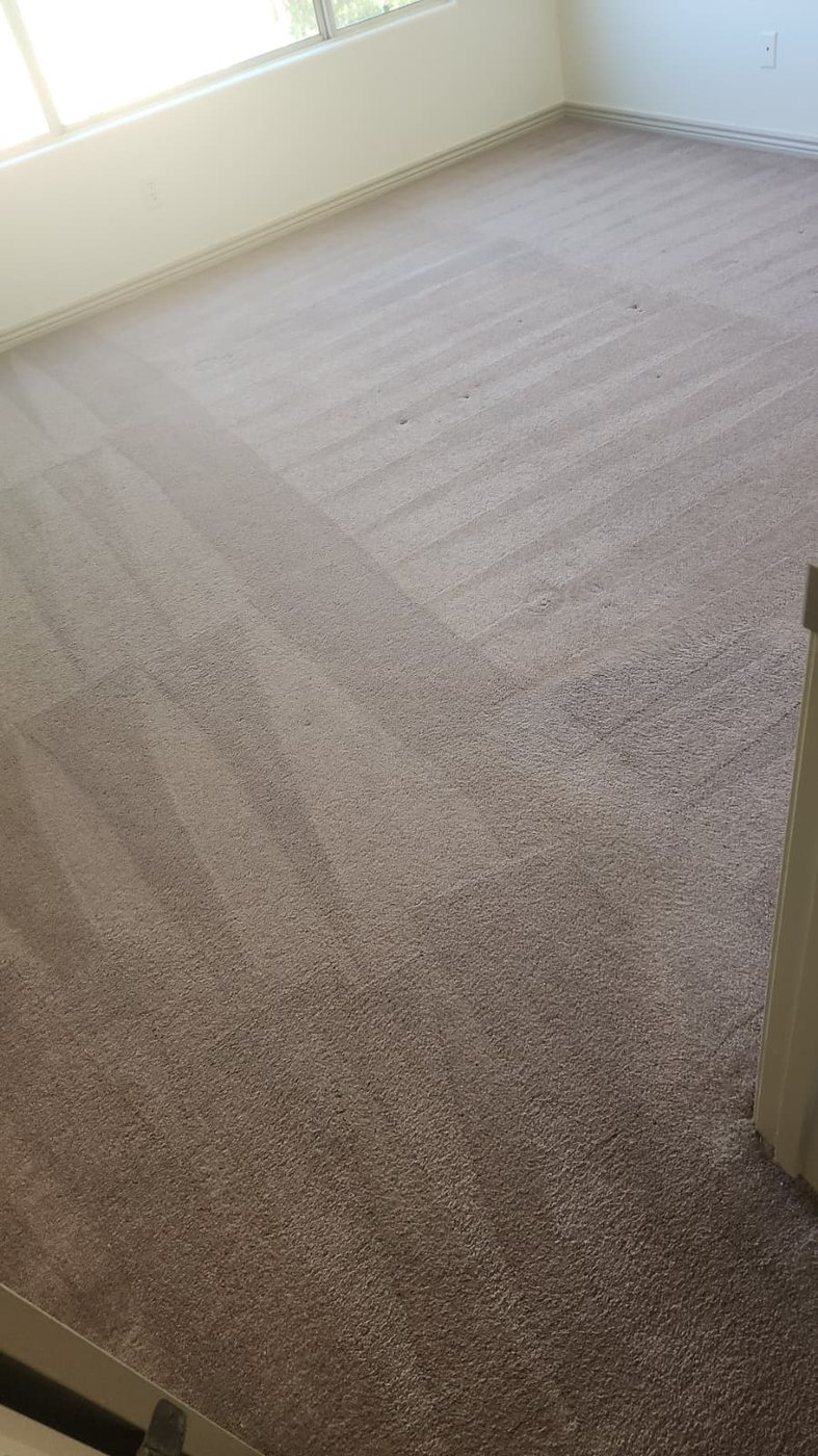 Master bedroom carpet restored with signature chevron triangle grooming lines