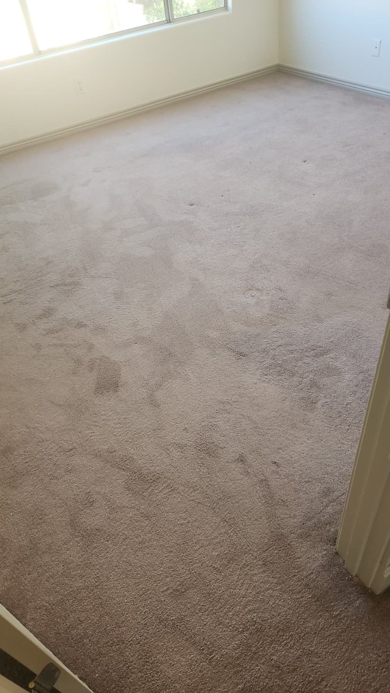 Master bedroom carpet before cleaning with traffic soil
