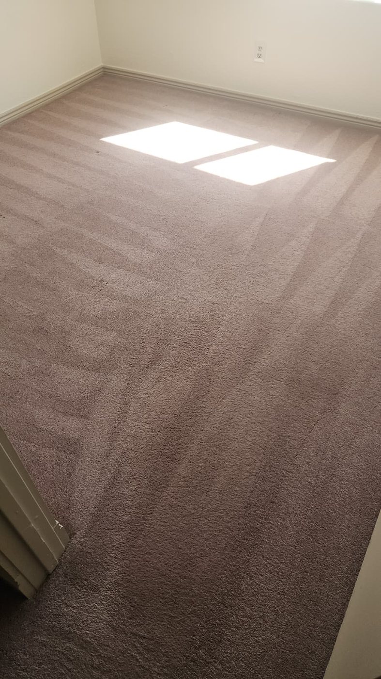 Guest room carpet restored with geometric grooming lines