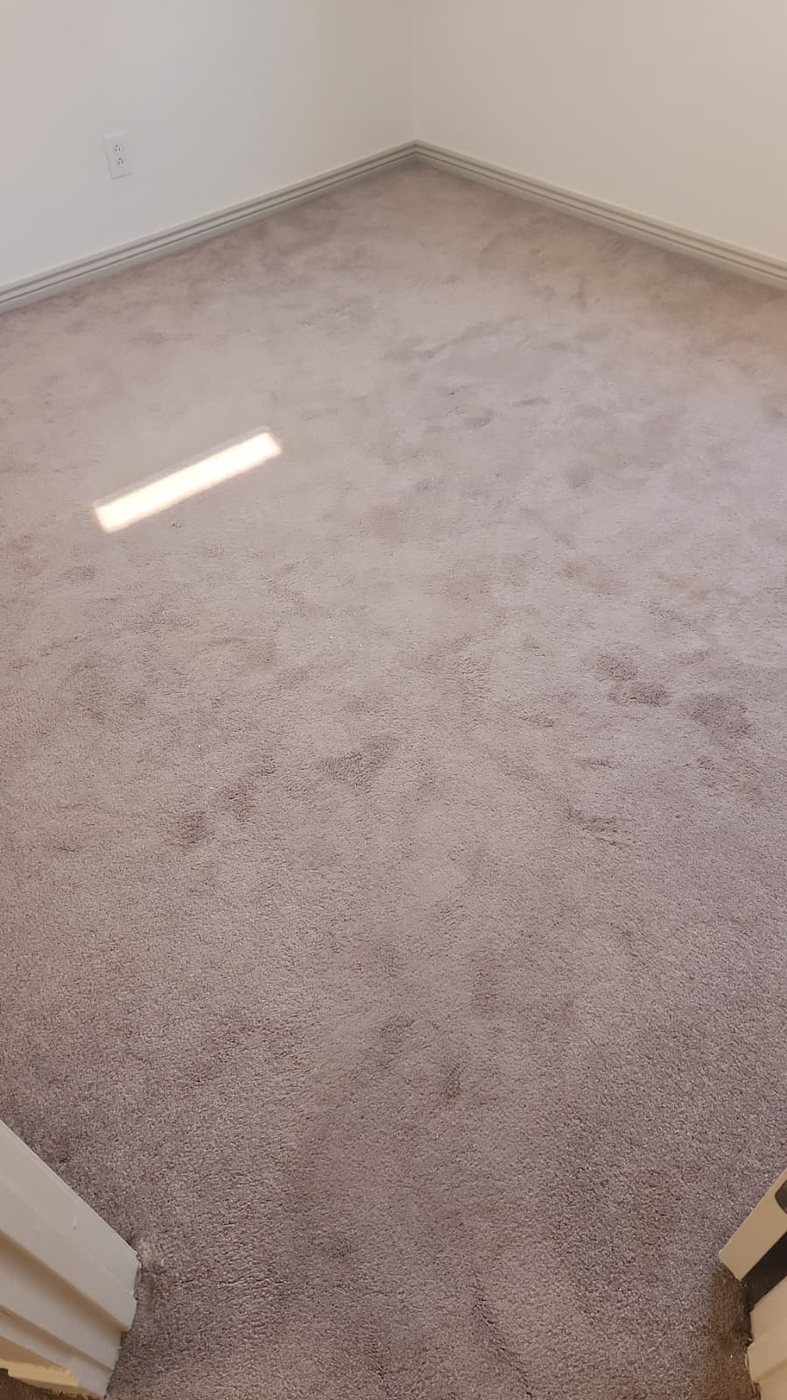 Guest room carpet soiled before extraction