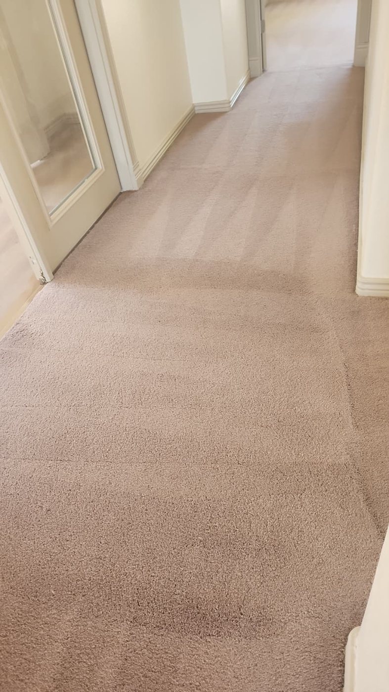 Main hallway carpet pristine with triangular grooming finish
