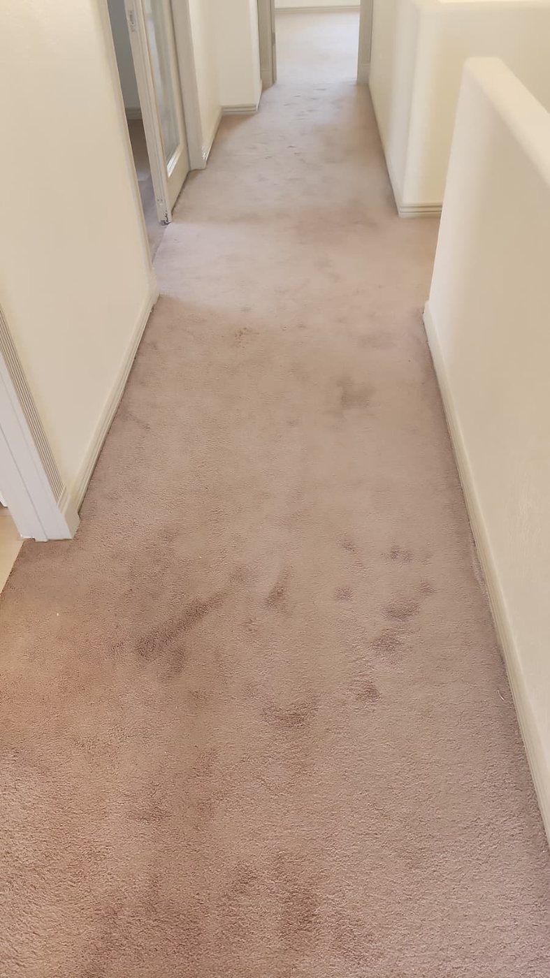 Main hallway carpet with dark traffic pathways before cleaning