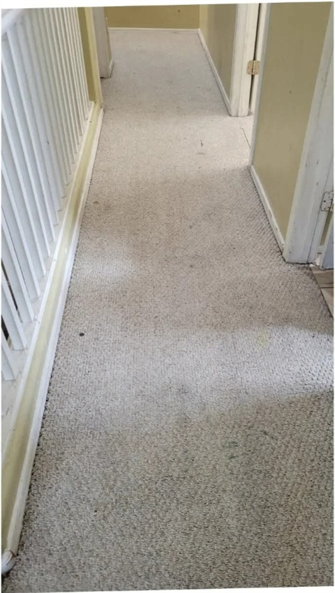 Carpet hallway fully restored and spotless after steam cleaning