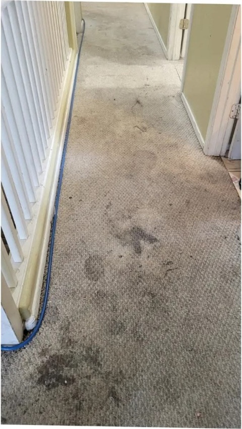 Carpet hallway with heavy dark foot-traffic pathways before cleaning