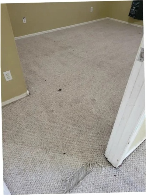 Carpets after steam cleaning