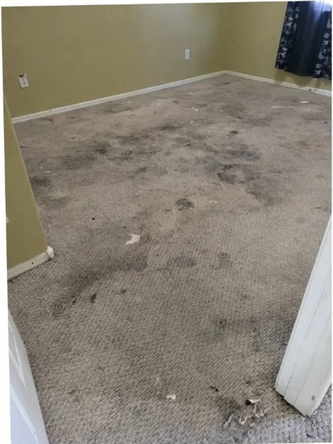 Carpets before cleaning