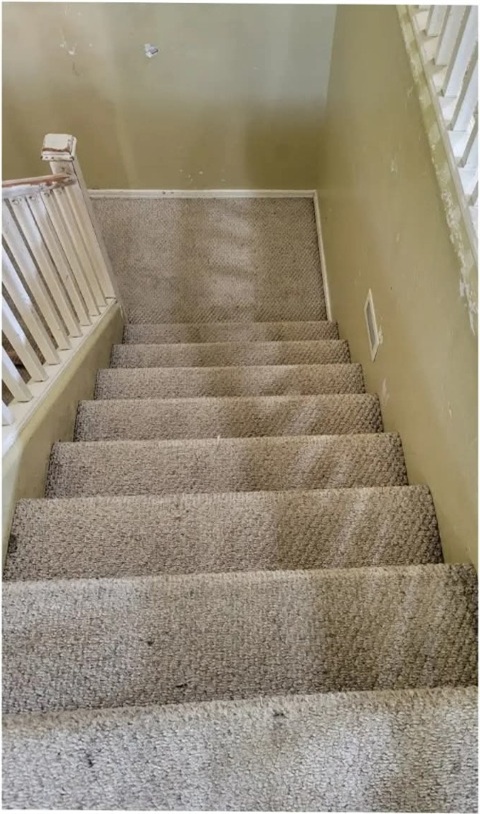 Carpeted stairs deep steam cleaned and renewed