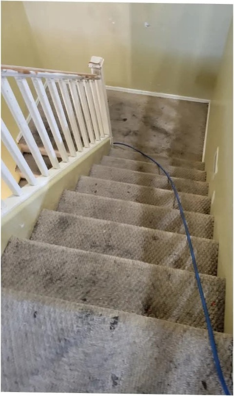 Carpeted stairs with heavy ground-in foot soil before cleaning