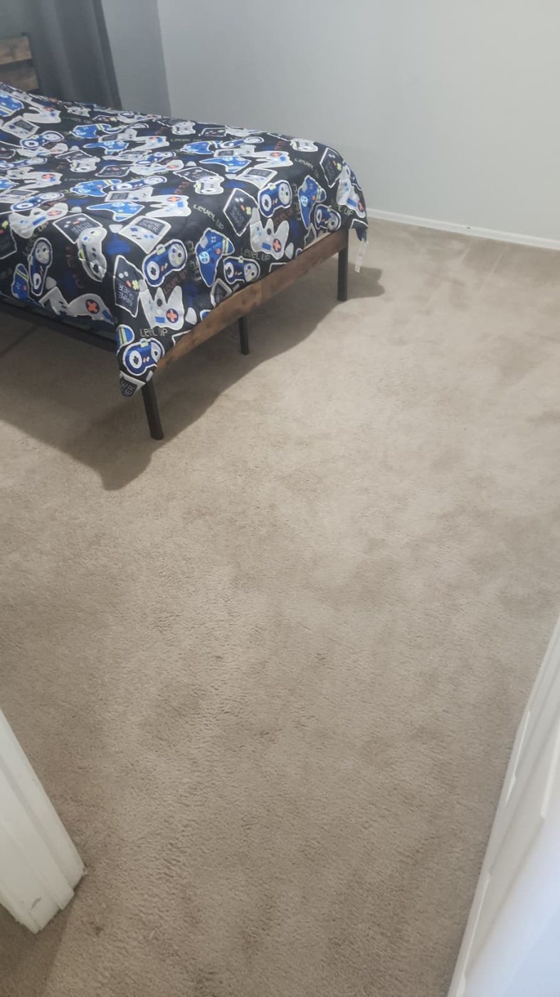 Living area carpet with dark stains and traffic dirt before cleaning