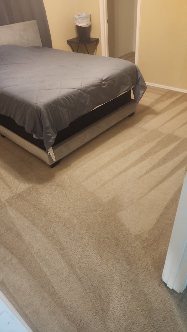 Family room carpet vibrant and fluffed after hot steam extraction