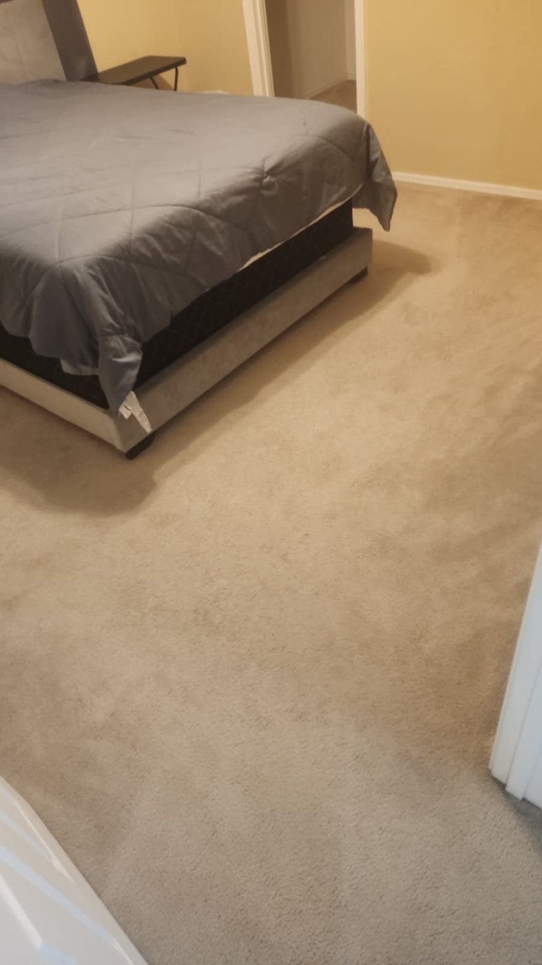 Family room carpet with dull matted fibers before cleaning