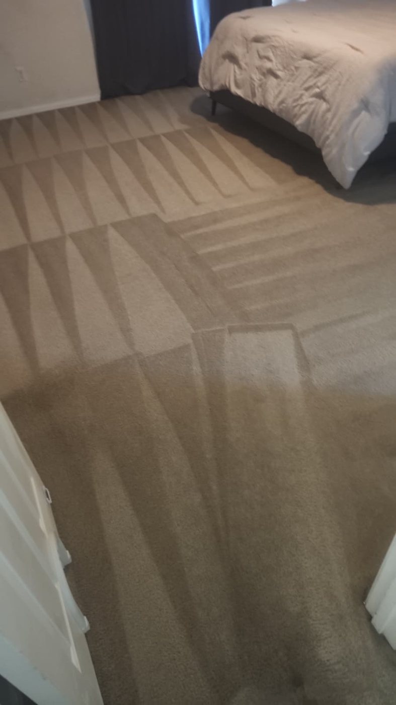 Dining area carpet thoroughly cleaned and sanitized