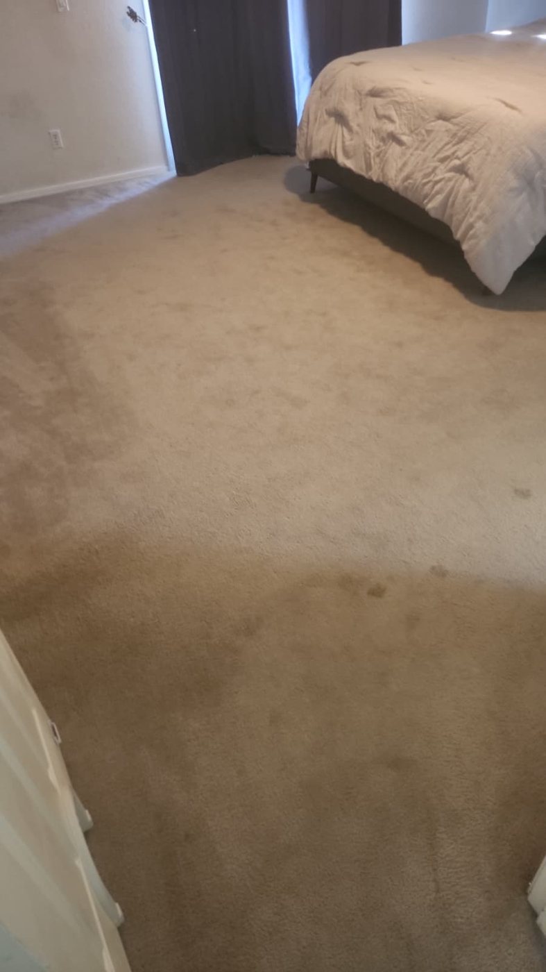 Dining area carpet with drink spills and crumbs before cleaning