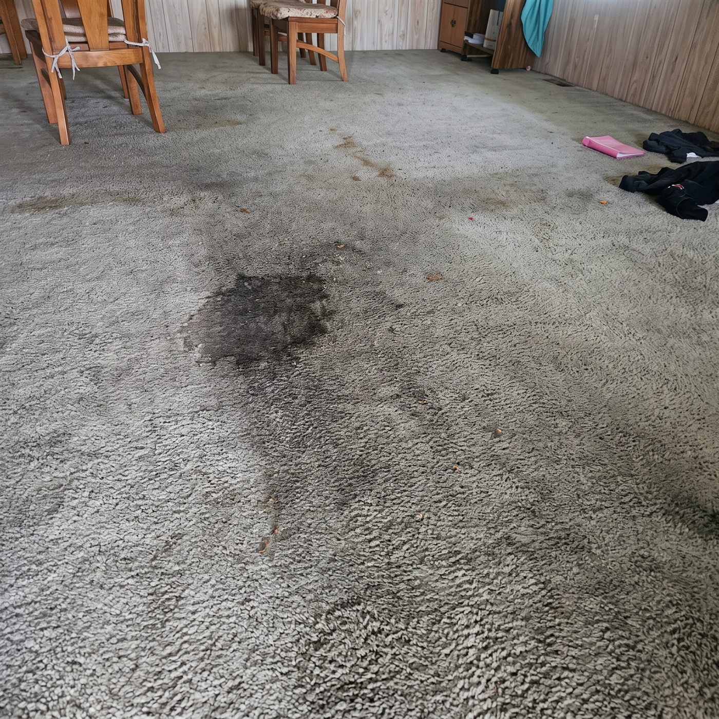 Severely soiled carpet with heavy traffic wear