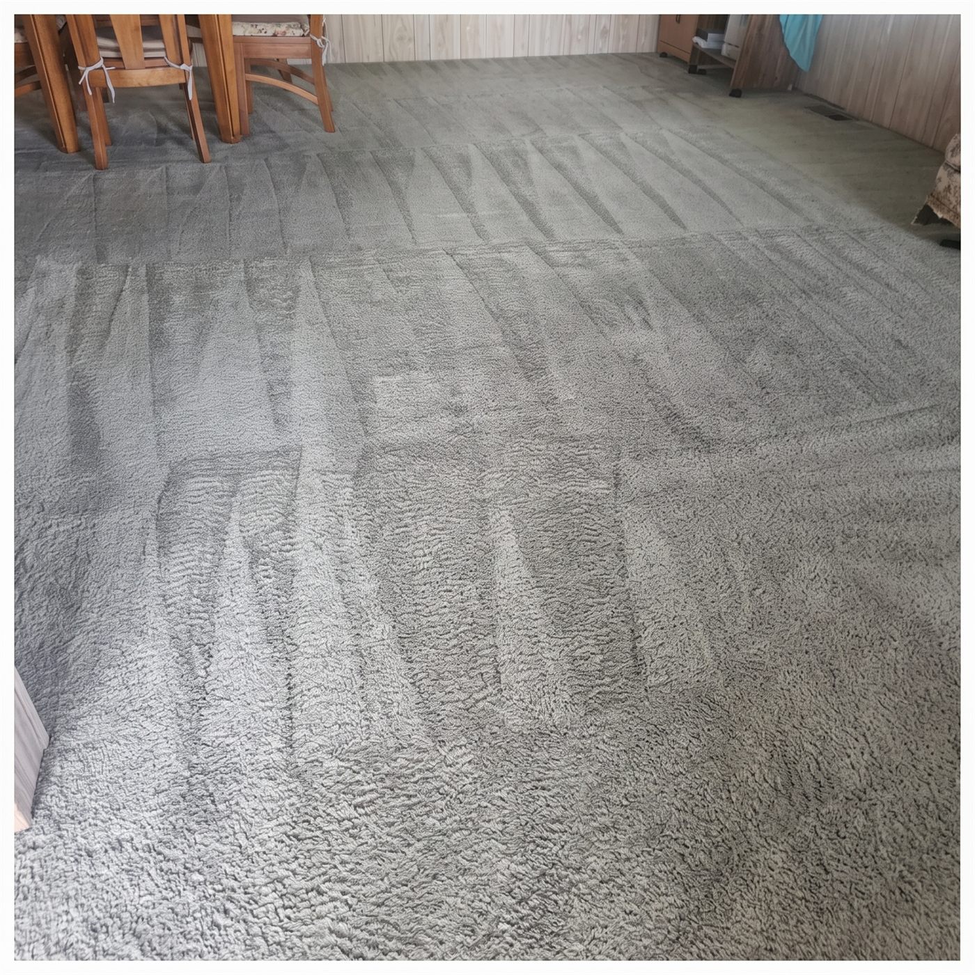 Clean and restored carpet with deep steam lines