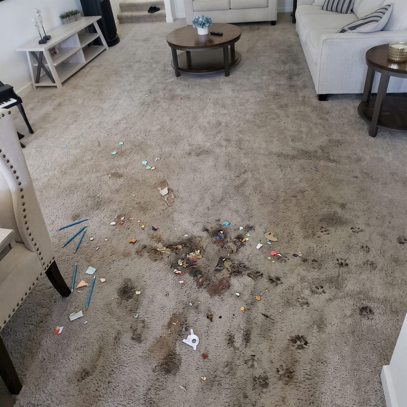 Living room carpet pristine with groom lines
